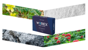 Principali opinioni e recensioni nei forum su Wirex