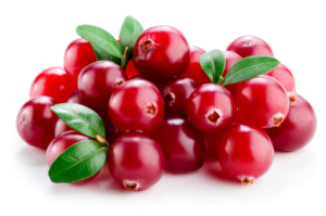 Quali sono le controindicazioni e gli effetti collaterali di Cranberry Cistite?